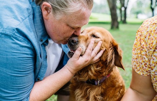 Managing Pets in Halifax Rental Properties
