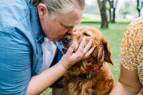 Halifax Property Management Companies and the Pet Debate
